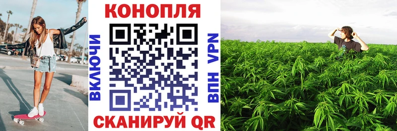 где найти наркотики  Кропоткин  Марихуана планчик 